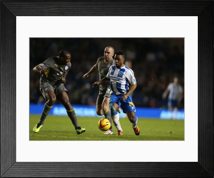 Framed Print : Brighton & Hove Albion vs. Leicester City (2013-14 Season): A Home Game - 7 December 2013 Framed Print : Brighton & Hove Albion vs. Leicester City (2013-14 Season): A Home Game - 7 December 2013