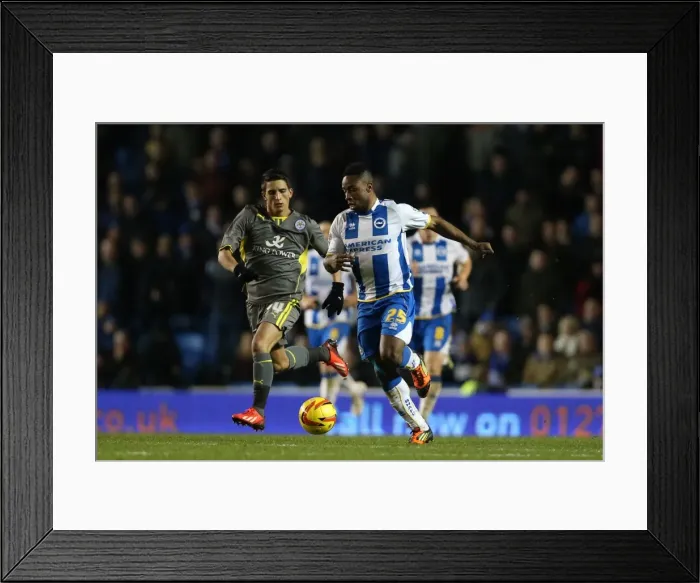 Framed Print : Brighton & Hove Albion vs. Leicester City (07-12-2013) - 2013-14 Home Game