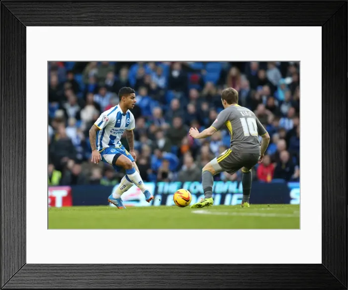Framed Print : Brighton & Hove Albion vs. Leicester City (2013-14): Home Game Highlights (07-12-2013) Framed Print : Brighton & Hove Albion vs. Leicester City (2013-14): Home Game Highlights (07-12-2013)