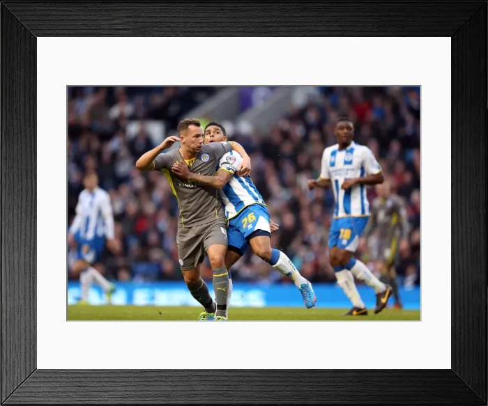 Framed Print : Brighton & Hove Albion vs. Leicester City (2013-14 Season): A Home Game - 7 December 2013 Framed Print : Brighton & Hove Albion vs. Leicester City (2013-14 Season): A Home Game - 7 December 2013