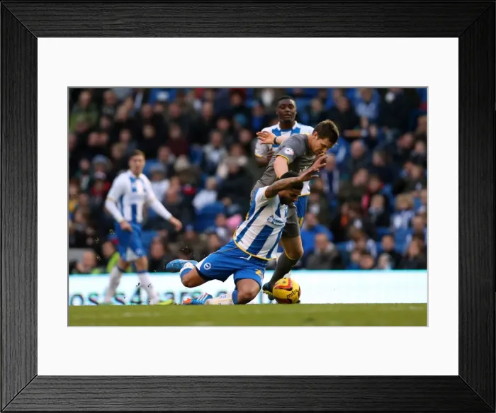 Framed Print : Brighton & Hove Albion vs. Leicester City: Home Game (December 7, 2013)