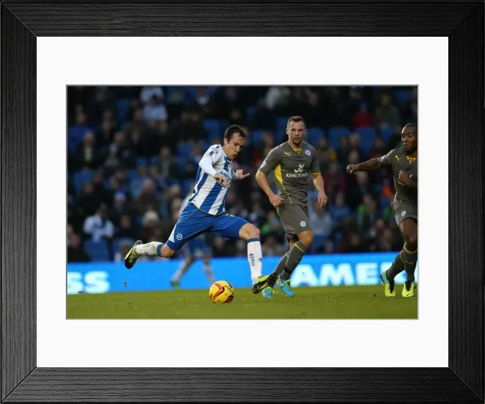 Framed Print : Brighton & Hove Albion vs Leicester City: Home Battle, 2013-14 Season (December 7, 2013) Framed Print : Brighton & Hove Albion vs Leicester City: Home Battle, 2013-14 Season (December 7, 2013)