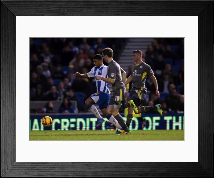 Framed Print : Brighton & Hove Albion vs. Leicester City: Home Game - December 7, 2013