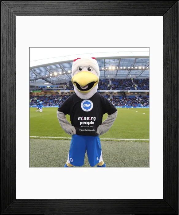 Framed Print : Brighton & Hove Albion vs. Leicester City (2013-14): Home Game Highlights (07-12-2013)