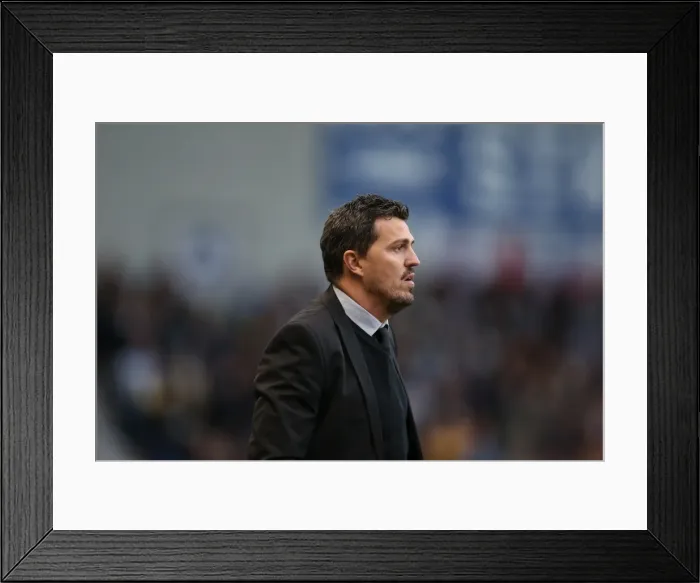Framed Print : Brighton & Hove Albion vs. Leicester City (2013-14): Home Game Highlights (07-12-2013) Framed Print : Brighton & Hove Albion vs. Leicester City (2013-14): Home Game Highlights (07-12-2013)