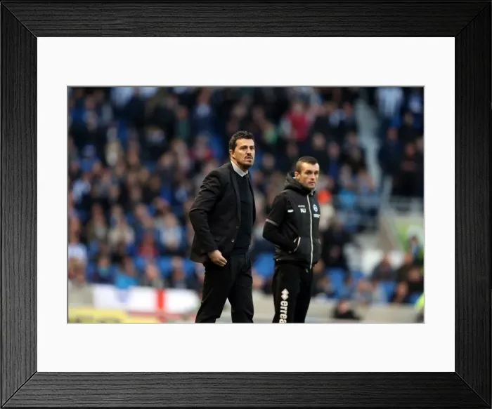 Framed Print : Brighton & Hove Albion vs Leicester City (2013-14): Home Game Highlights - 7 December 2013 Framed Print : Brighton & Hove Albion vs Leicester City (2013-14): Home Game Highlights - 7 December 2013