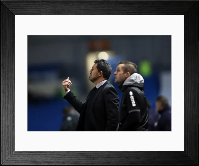 Framed Print : Brighton & Hove Albion vs Leicester City: Home Game - December 7, 2013 Framed Print : Brighton & Hove Albion vs Leicester City: Home Game - December 7, 2013