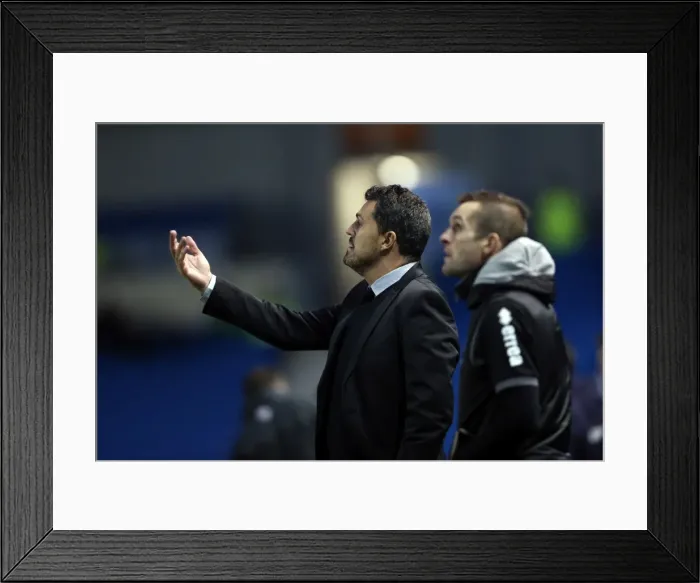 Framed Print : Brighton & Hove Albion vs. Leicester City: Home Game (Dec 7, 2013) Framed Print : Brighton & Hove Albion vs. Leicester City: Home Game (Dec 7, 2013)