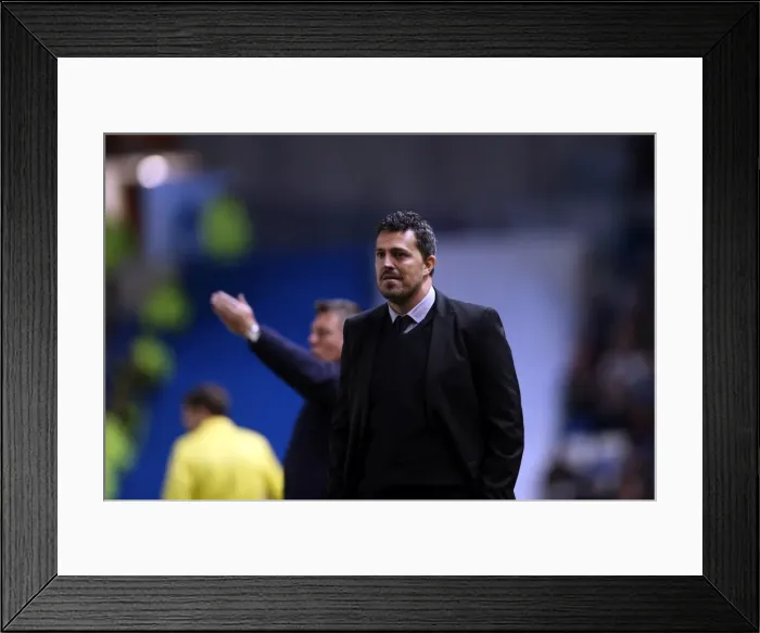 Framed Print : Brighton & Hove Albion vs. Leicester City: Home Game - December 7, 2013 Framed Print : Brighton & Hove Albion vs. Leicester City: Home Game - December 7, 2013