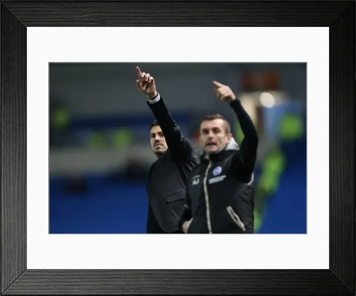 Framed Print : Brighton & Hove Albion vs. Leicester City (2013-14): Home Game Highlights (07-12-2013) Framed Print : Brighton & Hove Albion vs. Leicester City (2013-14): Home Game Highlights (07-12-2013)