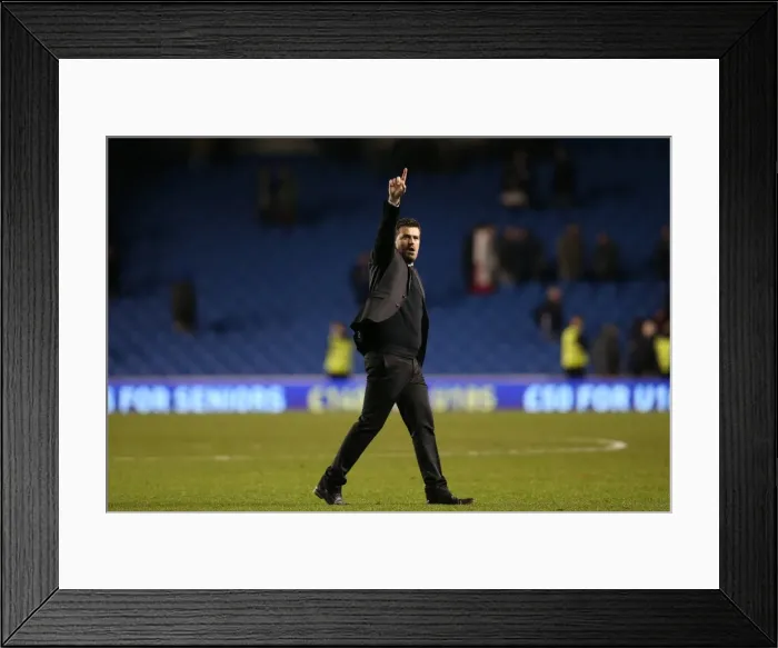 Framed Print : Brighton & Hove Albion vs. Leicester City: Home Game - December 7, 2013