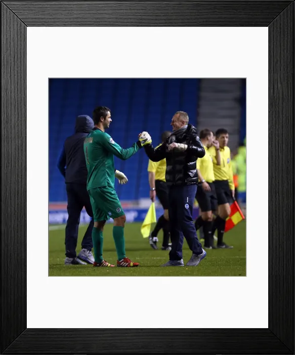 Framed Print : Brighton & Hove Albion vs. Leicester City: Home Game, 2013-14 Season (7-12-2013) Framed Print : Brighton & Hove Albion vs. Leicester City: Home Game, 2013-14 Season (7-12-2013)