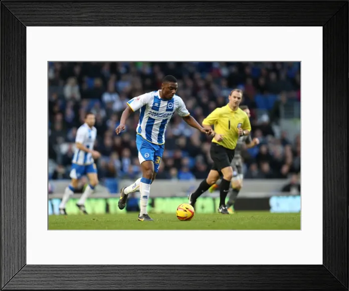 Framed Print : Brighton & Hove Albion vs. Leicester City: Home Game - December 7, 2013 Framed Print : Brighton & Hove Albion vs. Leicester City: Home Game - December 7, 2013