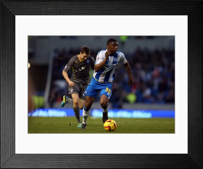 Framed Print : Brighton & Hove Albion vs. Leicester City (07-12-2013) - A Home Game from the 2013-14 Season Framed Print : Brighton & Hove Albion vs. Leicester City (07-12-2013) - A Home Game from the 2013-14 Season
