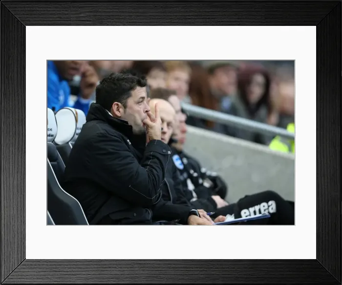 Framed Print : Brighton & Hove Albion vs Leicester City (2013-14): Home Game Highlights - 7 December 2013 Framed Print : Brighton & Hove Albion vs Leicester City (2013-14): Home Game Highlights - 7 December 2013
