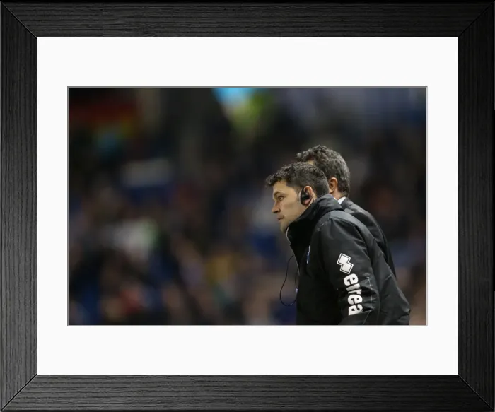 Framed Print : Brighton & Hove Albion vs. Leicester City: Home Game - December 7, 2013 Framed Print : Brighton & Hove Albion vs. Leicester City: Home Game - December 7, 2013