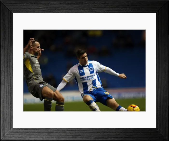 Framed Print : Brighton & Hove Albion vs. Leicester City (2013-14 Season): A Home Game Framed Print : Brighton & Hove Albion vs. Leicester City (2013-14 Season): A Home Game