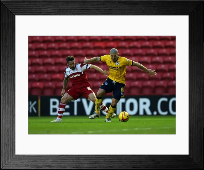 Framed Print : Brighton & Hove Albion vs. Middlesbrough: Away Game - December 14, 2013 (Season 2013-14) Framed Print : Brighton & Hove Albion vs. Middlesbrough: Away Game - December 14, 2013 (Season 2013-14)