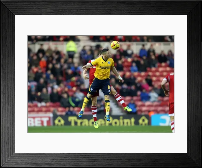 Framed Print : Brighton & Hove Albion vs. Middlesbrough: Away Game - 14-12-2013 (Season 2013-14) Framed Print : Brighton & Hove Albion vs. Middlesbrough: Away Game - 14-12-2013 (Season 2013-14)