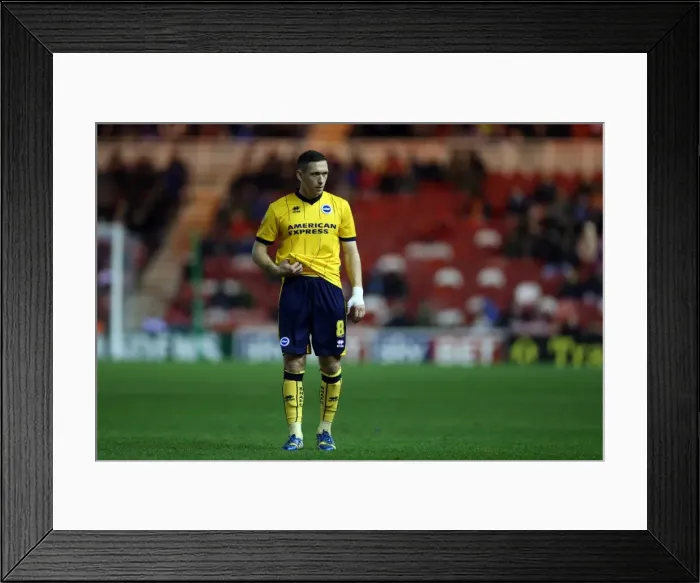 Framed Print : Brighton & Hove Albion vs. Middlesbrough: Away Game - December 14, 2013 (Season 2013-14) Framed Print : Brighton & Hove Albion vs. Middlesbrough: Away Game - December 14, 2013 (Season 2013-14)