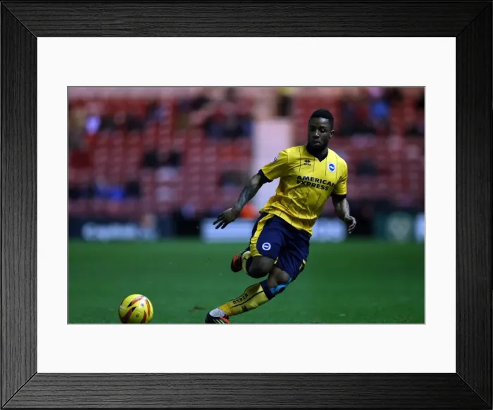 Framed Print : Brighton & Hove Albion vs. Middlesbrough: Away Game - December 14, 2013 (Season 2013-14) Framed Print : Brighton & Hove Albion vs. Middlesbrough: Away Game - December 14, 2013 (Season 2013-14)