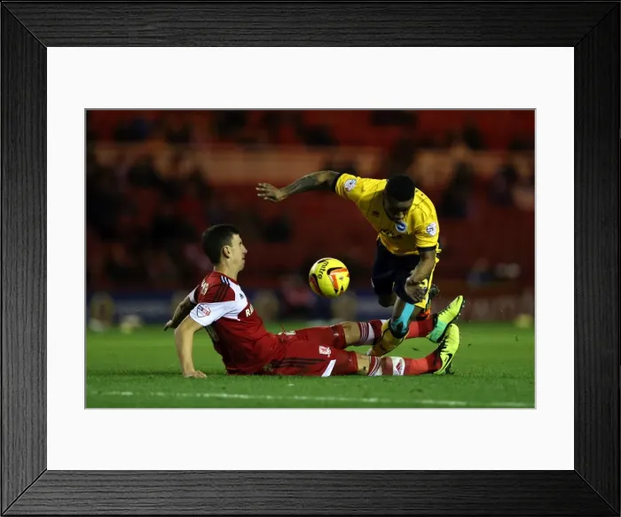 Framed Print : Brighton & Hove Albion vs. Middlesbrough: Away Game - December 14, 2013 Framed Print : Brighton & Hove Albion vs. Middlesbrough: Away Game - December 14, 2013