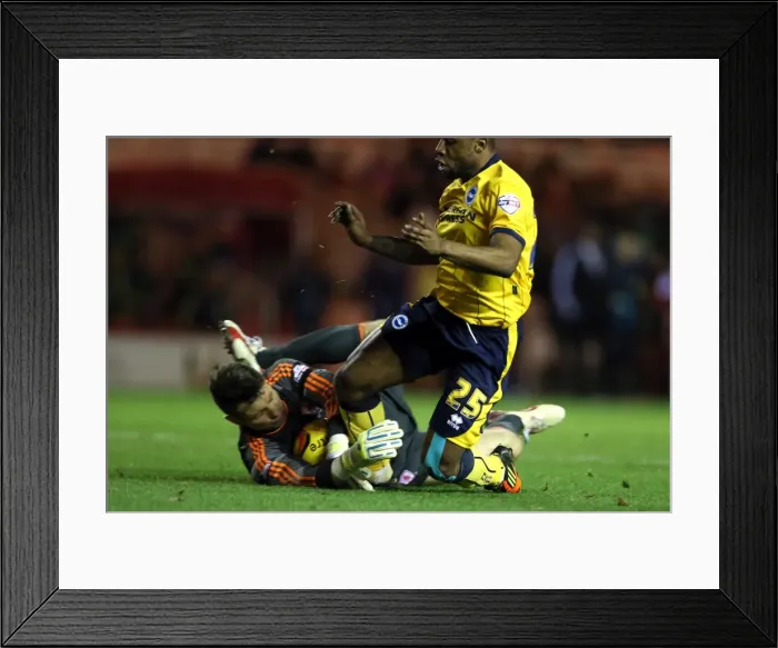 Framed Print : Brighton & Hove Albion vs Middlesbrough: Away Game - December 14, 2013 (Season 2013-14) Framed Print : Brighton & Hove Albion vs Middlesbrough: Away Game - December 14, 2013 (Season 2013-14)