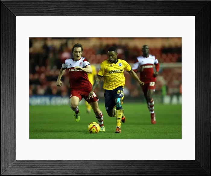 Framed Print : Brighton & Hove Albion Away at Middlesbrough - 14-12-2013 Framed Print : Brighton & Hove Albion Away at Middlesbrough - 14-12-2013