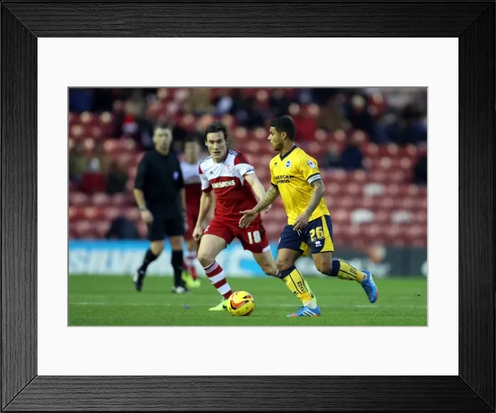 Framed Print : Brighton & Hove Albion vs Middlesbrough: Away Game (December 14, 2013) Framed Print : Brighton & Hove Albion vs Middlesbrough: Away Game (December 14, 2013)