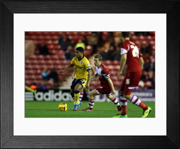 Framed Print : Brighton & Hove Albion vs. Middlesbrough: Away Game - December 14, 2013 (Season 2013-14) Framed Print : Brighton & Hove Albion vs. Middlesbrough: Away Game - December 14, 2013 (Season 2013-14)