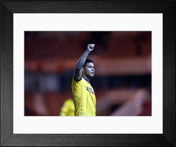 Framed Print : Brighton & Hove Albion vs Middlesbrough: Away Game - December 14, 2013 (Season 2013-14) Framed Print : Brighton & Hove Albion vs Middlesbrough: Away Game - December 14, 2013 (Season 2013-14)