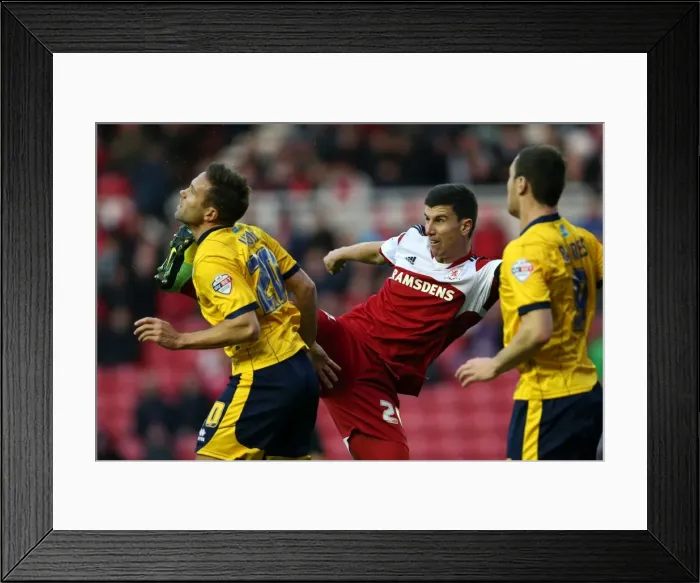 Framed Print : Brighton & Hove Albion vs. Middlesbrough: Away Game - December 14, 2013 (Season 2013-14) Framed Print : Brighton & Hove Albion vs. Middlesbrough: Away Game - December 14, 2013 (Season 2013-14)