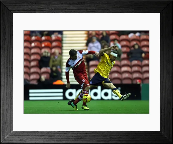Framed Print : Brighton & Hove Albion vs. Middlesbrough: Away Game - December 14, 2013 (Season 2013-14) Framed Print : Brighton & Hove Albion vs. Middlesbrough: Away Game - December 14, 2013 (Season 2013-14)