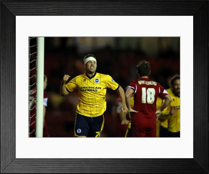 Framed Print : Brighton & Hove Albion vs. Middlesbrough: Away Game - December 14, 2013 (Season 2013-14) Framed Print : Brighton & Hove Albion vs. Middlesbrough: Away Game - December 14, 2013 (Season 2013-14)