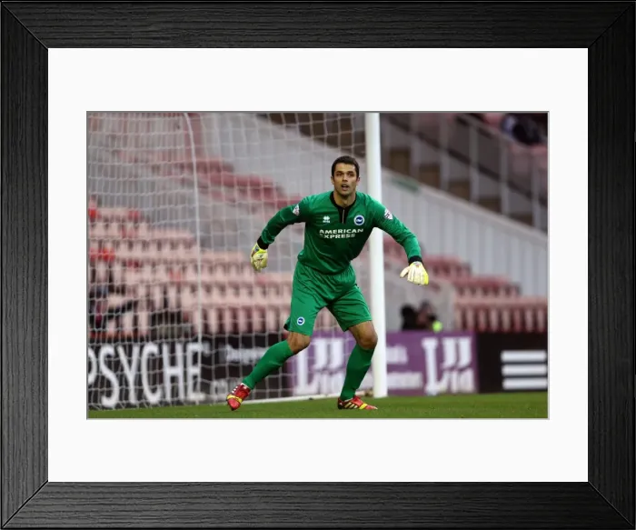 Framed Print : Brighton & Hove Albion vs. Middlesbrough: Away Game - December 14, 2013 (Season 2013-14)