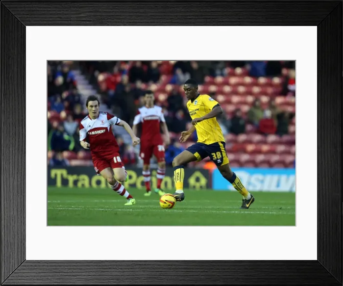 Framed Print : Brighton & Hove Albion vs. Middlesbrough: Away Game - December 14, 2013 Framed Print : Brighton & Hove Albion vs. Middlesbrough: Away Game - December 14, 2013
