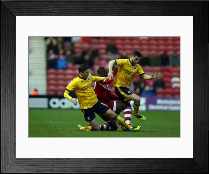 Framed Print : Brighton & Hove Albion vs. Middlesbrough: Away Game (December 14, 2013) Framed Print : Brighton & Hove Albion vs. Middlesbrough: Away Game (December 14, 2013)