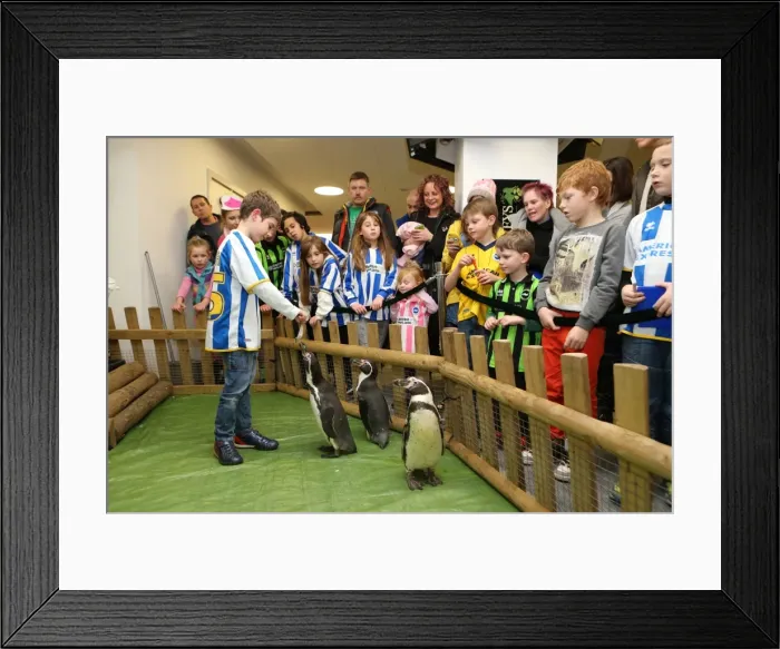 Framed Print : Brighton & Hove Albion FC: Young Seagulls Christmas Party 2013 Framed Print : Brighton & Hove Albion FC: Young Seagulls Christmas Party 2013