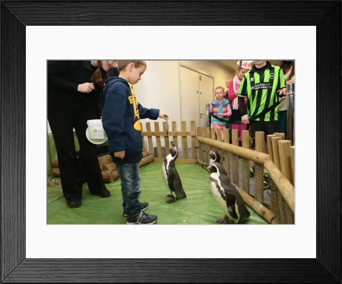 Framed Print : Young Brighton & Hove Albion FC Players at 2013 Christmas Party Framed Print : Young Brighton & Hove Albion FC Players at 2013 Christmas Party