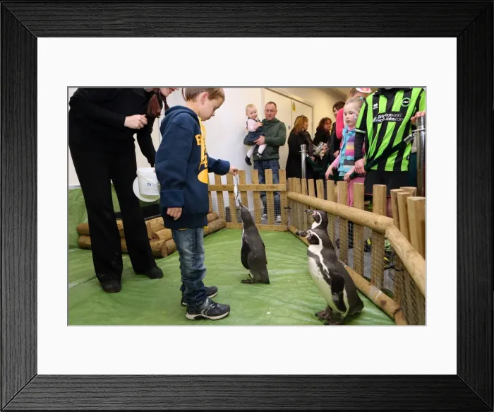 Framed Print : Young Seagulls of Brighton & Hove Albion FC Celebrate Christmas 2013 Framed Print : Young Seagulls of Brighton & Hove Albion FC Celebrate Christmas 2013