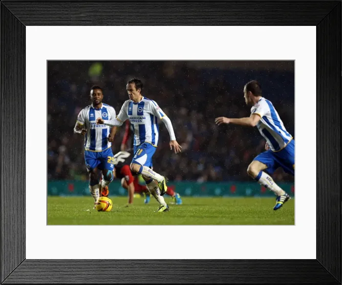 Framed Print : Brighton & Hove Albion vs. Huddersfield Town: Home Game - December 21, 2013 Framed Print : Brighton & Hove Albion vs. Huddersfield Town: Home Game - December 21, 2013