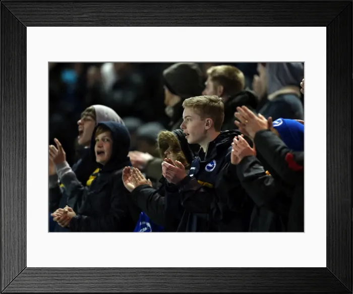 Framed Print : Brighton & Hove Albion vs. Huddersfield Town: Home Game - 21-12-2013, 2013-14 Season Framed Print : Brighton & Hove Albion vs. Huddersfield Town: Home Game - 21-12-2013, 2013-14 Season