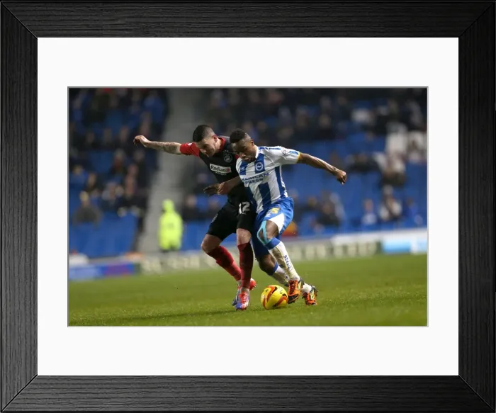 Framed Print : Brighton & Hove Albion vs. Huddersfield Town: Home Game - December 21, 2013 (Season 2013-14)