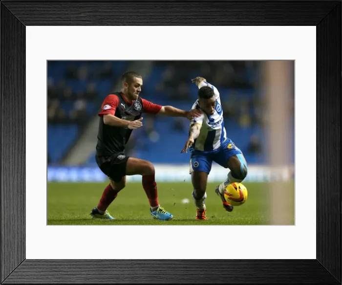 Framed Print : Brighton & Hove Albion vs. Huddersfield Town: Home Game (December 2013) Framed Print : Brighton & Hove Albion vs. Huddersfield Town: Home Game (December 2013)