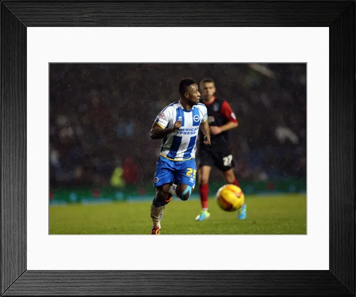 Framed Print : Brighton & Hove Albion vs. Huddersfield Town: Home Game - December 21, 2013