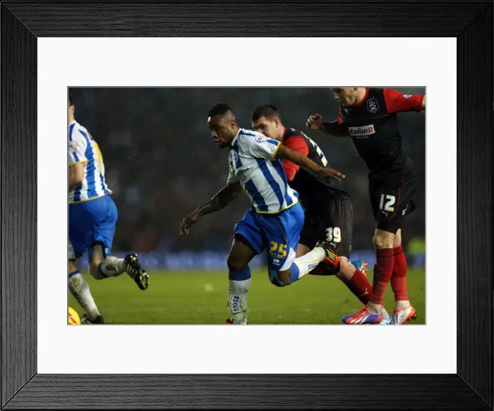 Framed Print : Brighton & Hove Albion vs. Huddersfield Town: Home Game - December 21, 2013