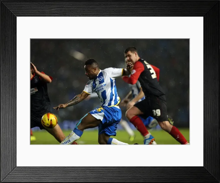 Framed Print : Brighton & Hove Albion vs. Huddersfield Town: Home Game – 21-12-2013, 2013-14 Season Framed Print : Brighton & Hove Albion vs. Huddersfield Town: Home Game – 21-12-2013, 2013-14 Season