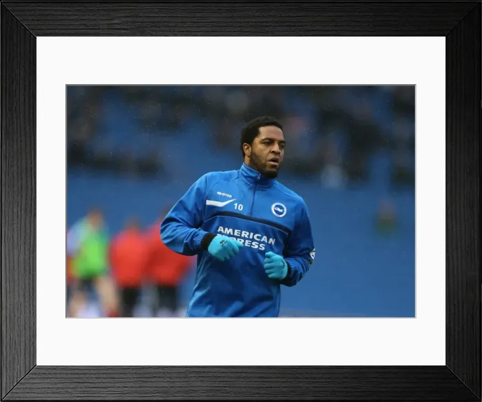 Framed Print : Brighton & Hove Albion vs. Huddersfield Town: Home Game - 21-12-2013 (Season 2013-14) Framed Print : Brighton & Hove Albion vs. Huddersfield Town: Home Game - 21-12-2013 (Season 2013-14)
