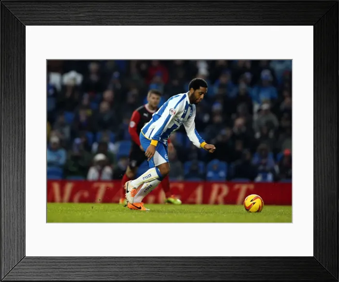 Framed Print : Brighton & Hove Albion vs. Huddersfield Town: Home Game - December 21, 2013