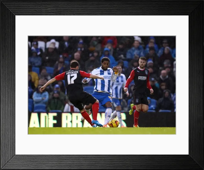 Framed Print : Brighton & Hove Albion vs. Huddersfield Town: Home Game - December 21, 2013